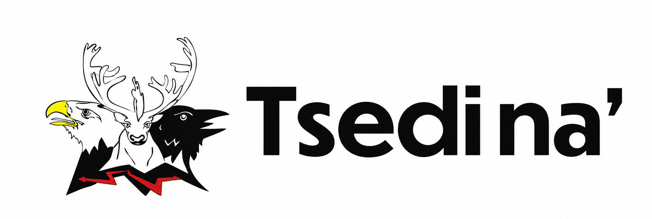 Tsedina logo