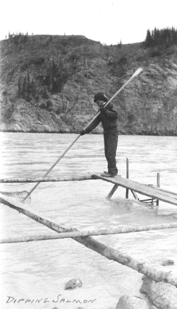 Dipping Salmon 1
