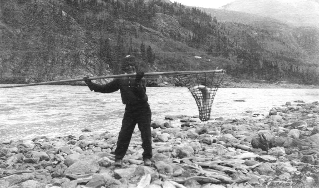 Dipping Salmon 2