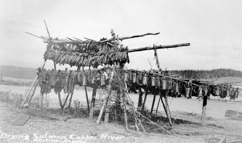 Drying Salmon